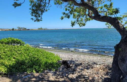 Robbins Estate Haiku - Foto 1