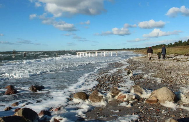 Simplistic Holiday Home in GÃ¸rlev near Sea - Photo 46