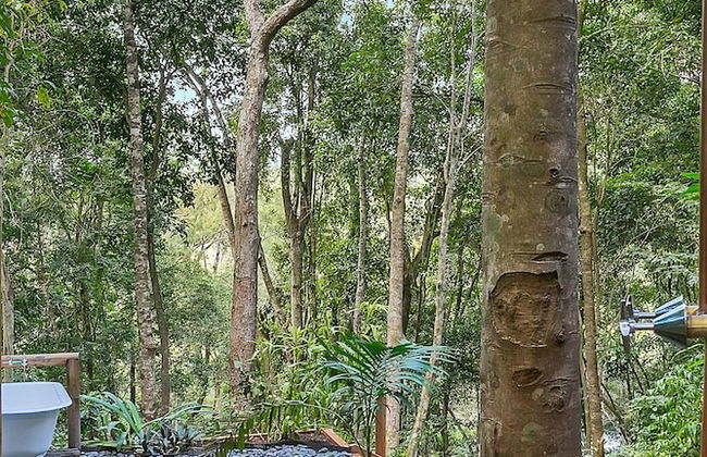 Wanggulay Treetops Cairns City - Foto 37