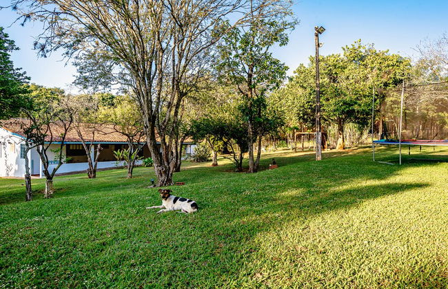 Sítio com piscina e lagoa particular - Photo 49