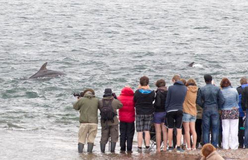 Dolphin View Hillockhead - Foto 53