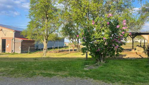 Ferme Équestre - Vue Unique sur les Chevaux - Foto 3