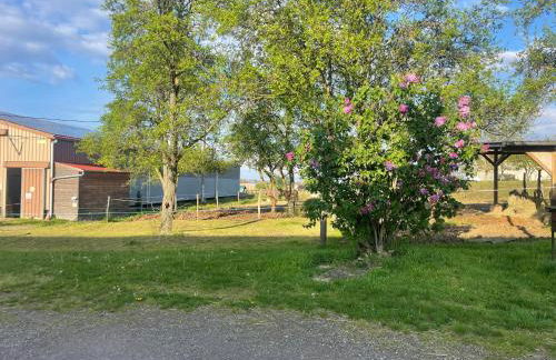 Ferme Équestre - Vue Unique sur les Chevaux - Foto 3