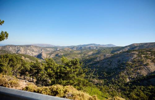 Avgonyma Square Nest - Foto 6