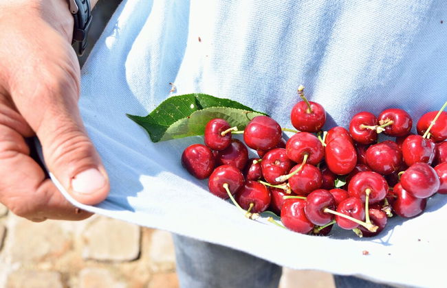 Vecchia Masseria - Photo 39
