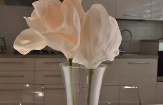 Casa Annadelia - Foto 31