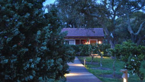 Herdade das Barradas da Serra - Foto 3, Garden, Garden view