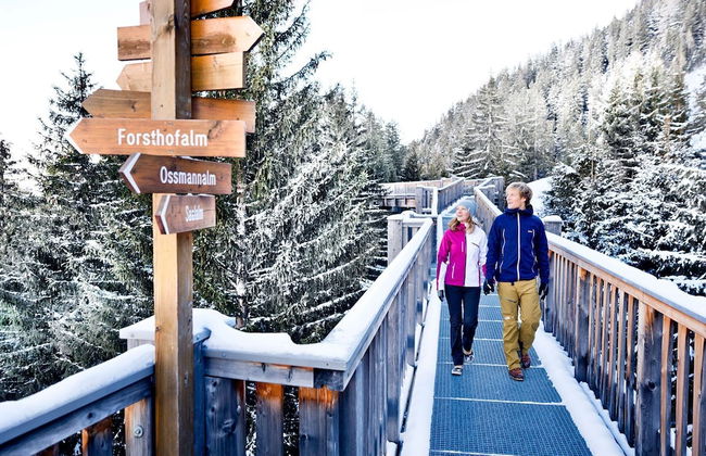 Hilltop Apartment in Viehhofen With hot tub - Foto 17