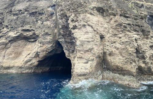 Casa das Palmeiras - Res. of Elizabete and Fatima - Foto 51