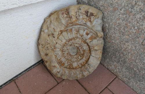 Ferienwohnung Schneckenhaus - Foto 20