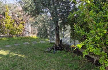 Casa Andrea Cefalù - Foto 7