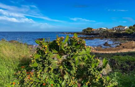 Two Bedroom Apartment R C Porto Martins Pools - Photo 6