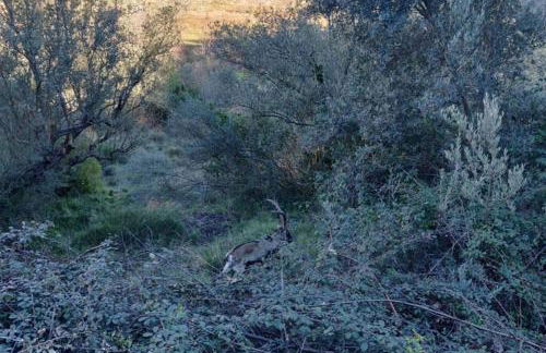 Casa Rural Adriana, Montanejos - Foto 26