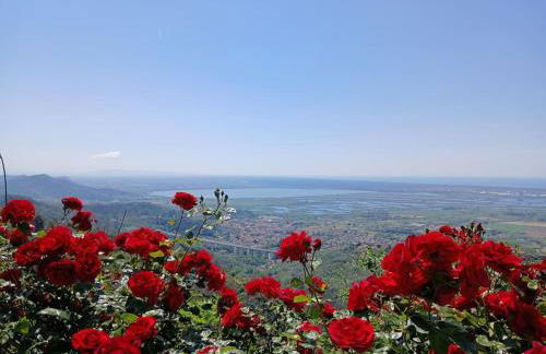 Casa panoramica sulle colline di Viareggio - Foto 31