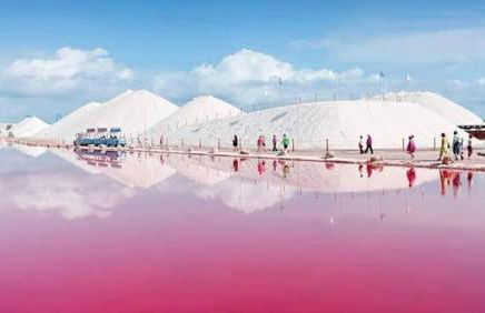 Palm Apartment - La Calma - Foto 43