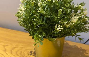 Sahara 3,5 Z Balkon Smart TV Küche WaMa - Foto 17