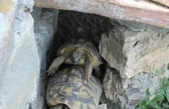 Casa Vì - Toscana, Lunigiana, near Cinque Terre - Foto 17