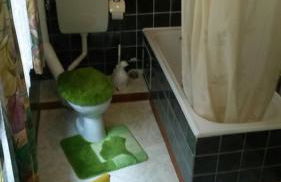 Ferienwohnung Hünefeld - Foto 7