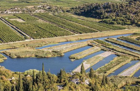 1 Bedroom Nice Home In Rogotin - Photo 29