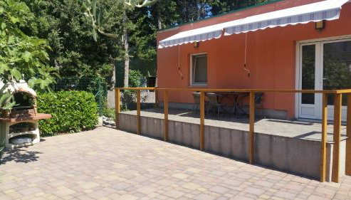 Apartment Sajković - Photo 2, Garden