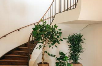 The Eades Store Projects Studio - Foto 54