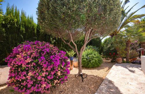 Villa Lagarta by Holiday Rentals Villamar - Foto 46