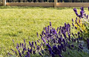 Buńdowe Wzgórze domki na wynajem - Foto 37