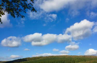 Comfort-Apartment - Foto 33