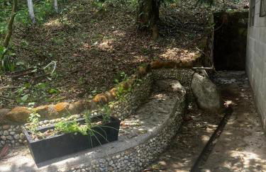 Encanto dos Pássaros - Foto 39