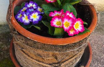 Le Ortensie Lago di Garda - Foto 36