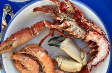 Maison artistes bord de mer Rostellec - Photo 18