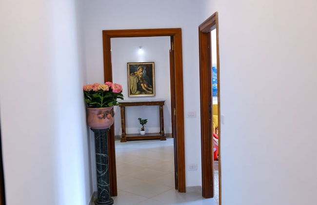 Sofia flora - Photo 68