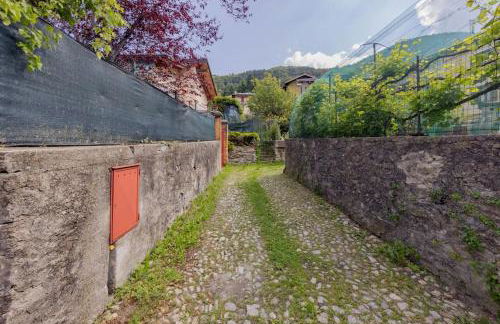 Cà dei Brenta - Orchard - Valle Intelvi - Como - Foto 14