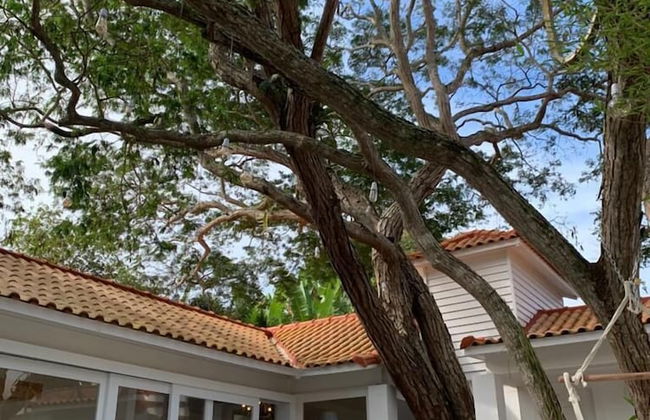 Av. Parque 17 - Foto 7