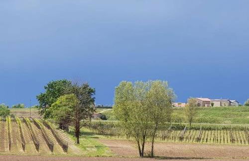 Agriturismo Le Caldane - Photo 15