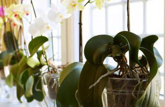 Residenza Montebello - Foto 22