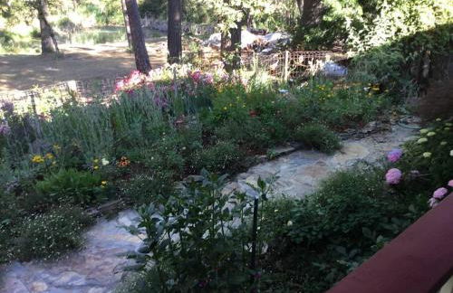 Yosemite Firehouse Inn - Foto 67