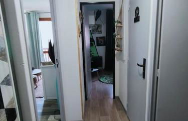 Superbe T2, à 100 mètres des pistes - Foto 10