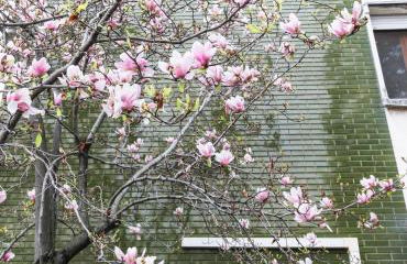 Flytosuite it con 35 Camere 3 Suite Delux - Photo 28