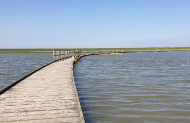 Ferienhaus Küstenkind - Top Lage - Garten eingezäunt - Photo 25