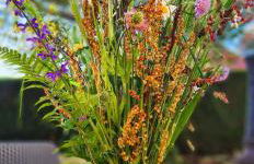 Gîte et SPA Chez Jules - Foto 30