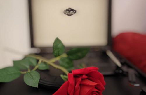 Arena Concert Concerto Love - Historic House Amorino at "Palazzo Tiolo" Palace - Photo 11