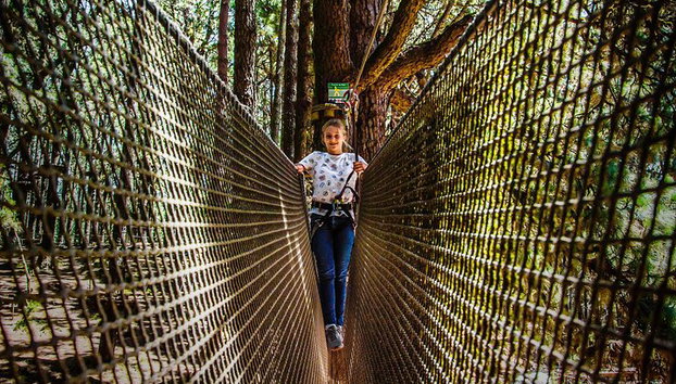 Entrada al Parque Forestal Tenerife. - Foto 5, ¡Prueba nuevas experiencias en la naturaleza!