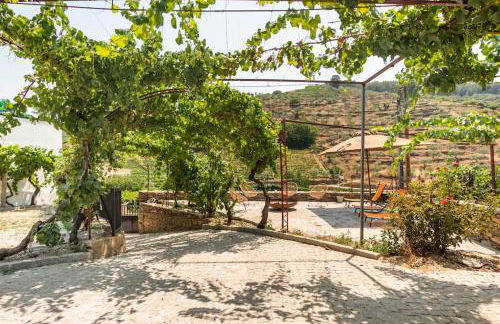 Valadouro Cottage Douro Vallée - Foto 28