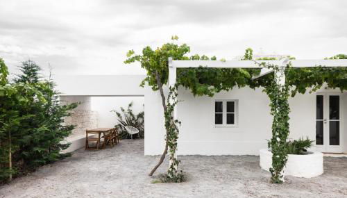 Monte dos Coureleiros - Photo 5