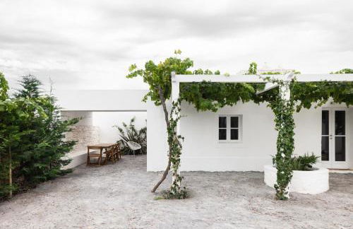 Monte dos Coureleiros - Foto 5