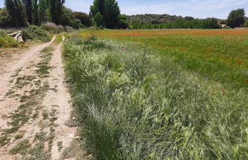 La Cachumba - Foto 42