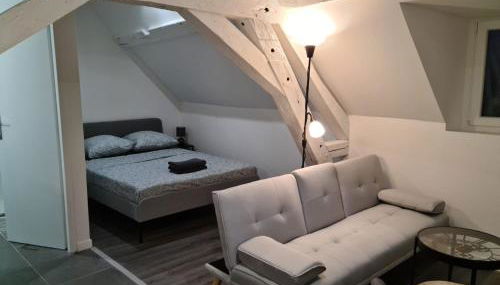 Beaugency-1 sur la route des Châteaux - Photo 5