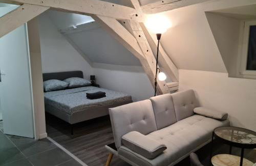 Beaugency-1 sur la route des Châteaux - Photo 5