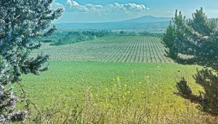 Podere Macee Casavacanza - Foto 4